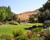 Cal Poly Garden
